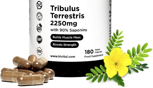 tribulus terrestris