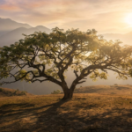 moringa oleifera salud sexual masculina disfunción eréctil testosterona evidencia científica